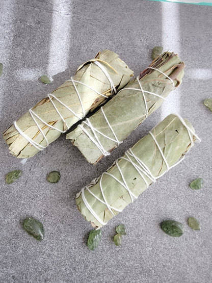 White Sage +Eucalyptus Smudge