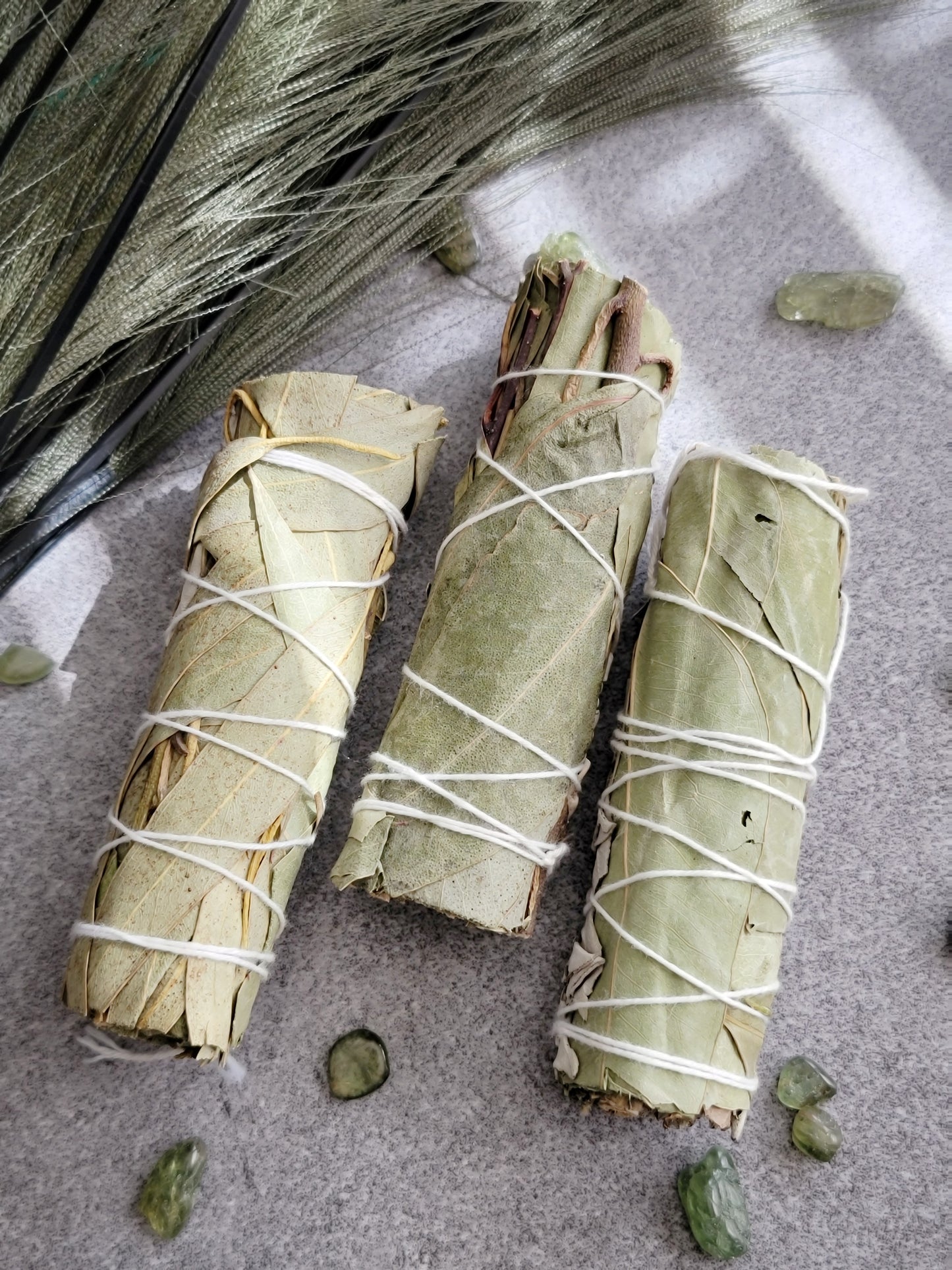 White Sage +Eucalyptus Smudge