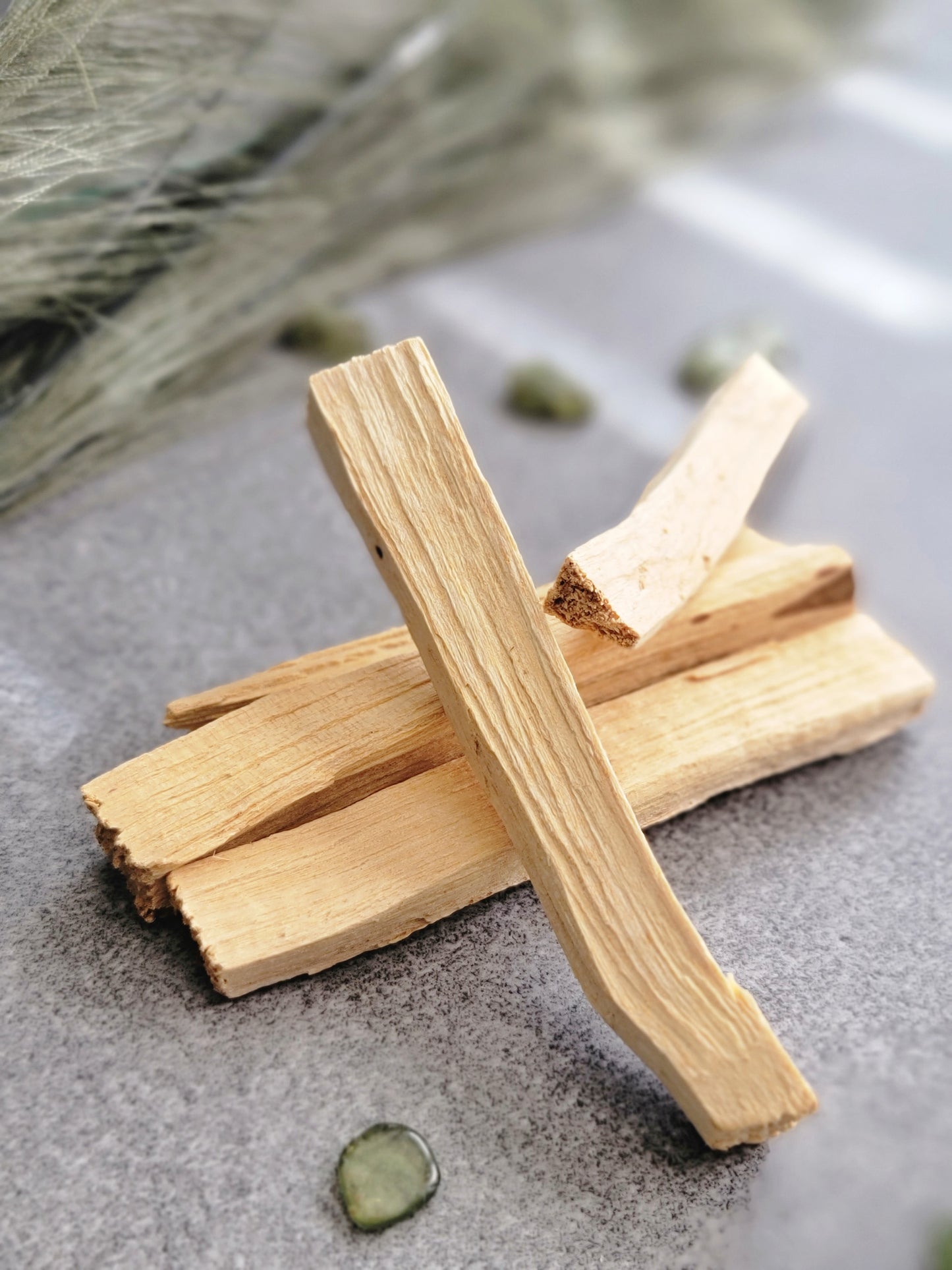 Palo Santo Bundle